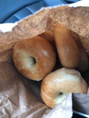 Bagel Oasis