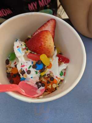 Tutti Frutti Frozen Yogurt