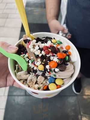 Tutti Frutti Frozen Yogurt