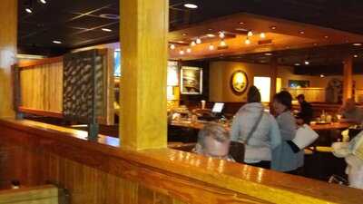 Outback Steakhouse