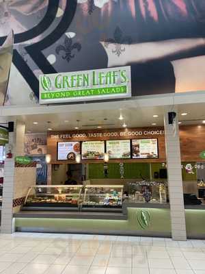 Green Leaf's & Bananas