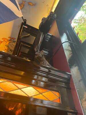 Macleod's Fish & Chips And Scottish Pub