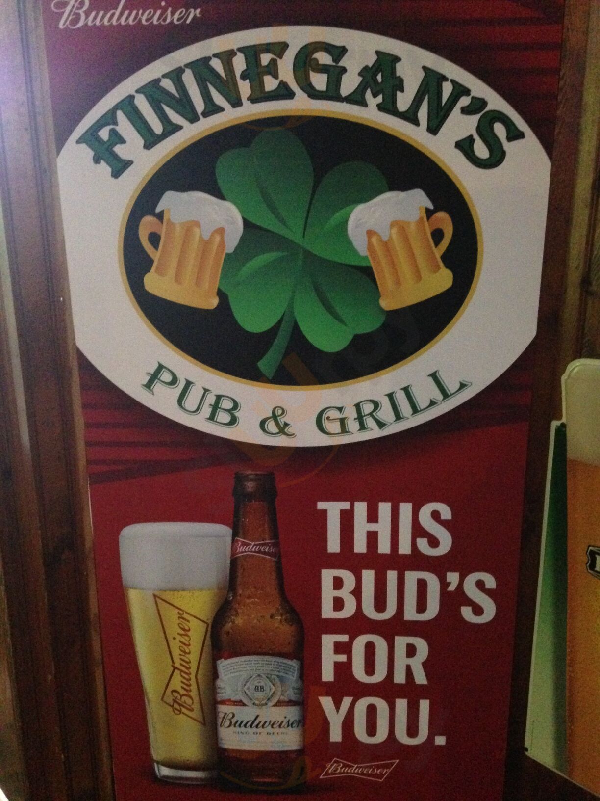 Finnegans