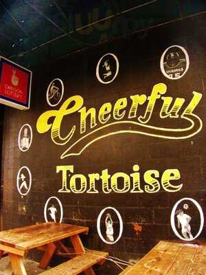 The Cheerful Tortoise