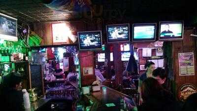 The Cheerful Tortoise