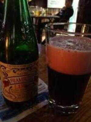 The Cheerful Tortoise