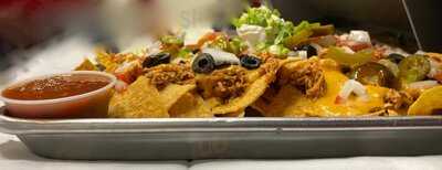 The Cheerful Tortoise