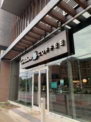 Caribou & Einstein Bros.