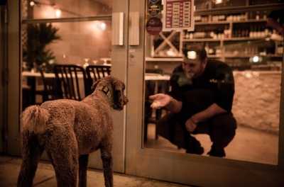 Nicola Brick Oven Kitchen