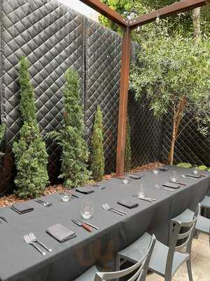 Cultivar  San Francisco