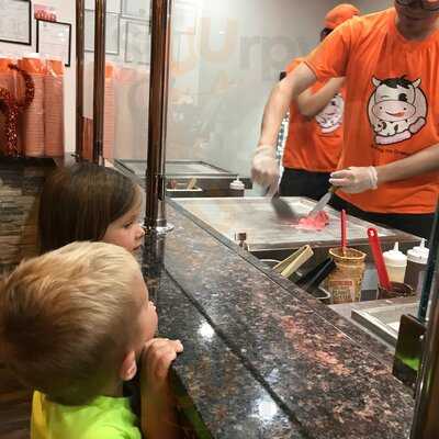 Freezing Cow Rolling Ice Cream