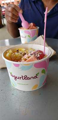 Yogurtland
