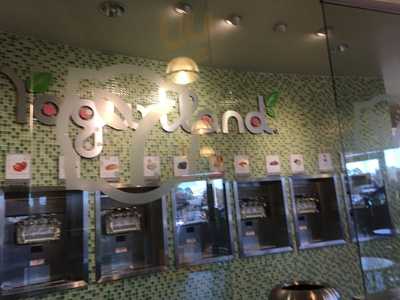 Yogurtland