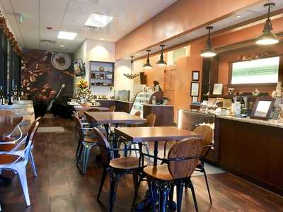 Stargazer Fine Chocolates