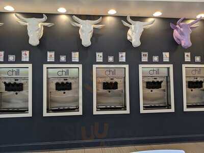 Chill On The Hill Frozen Yogurt