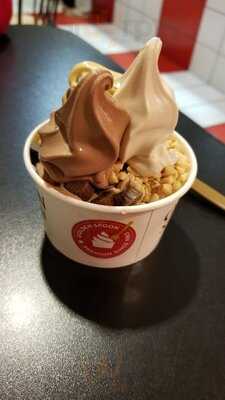 Golden Spoon Frozen Yogurt