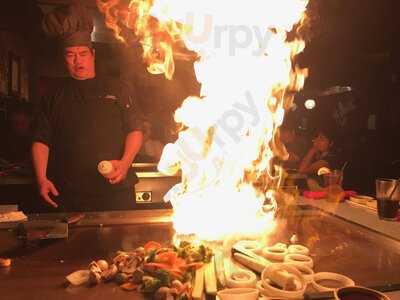 Sumo Japanese Steakhouse