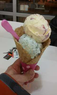 Baskin-robbins