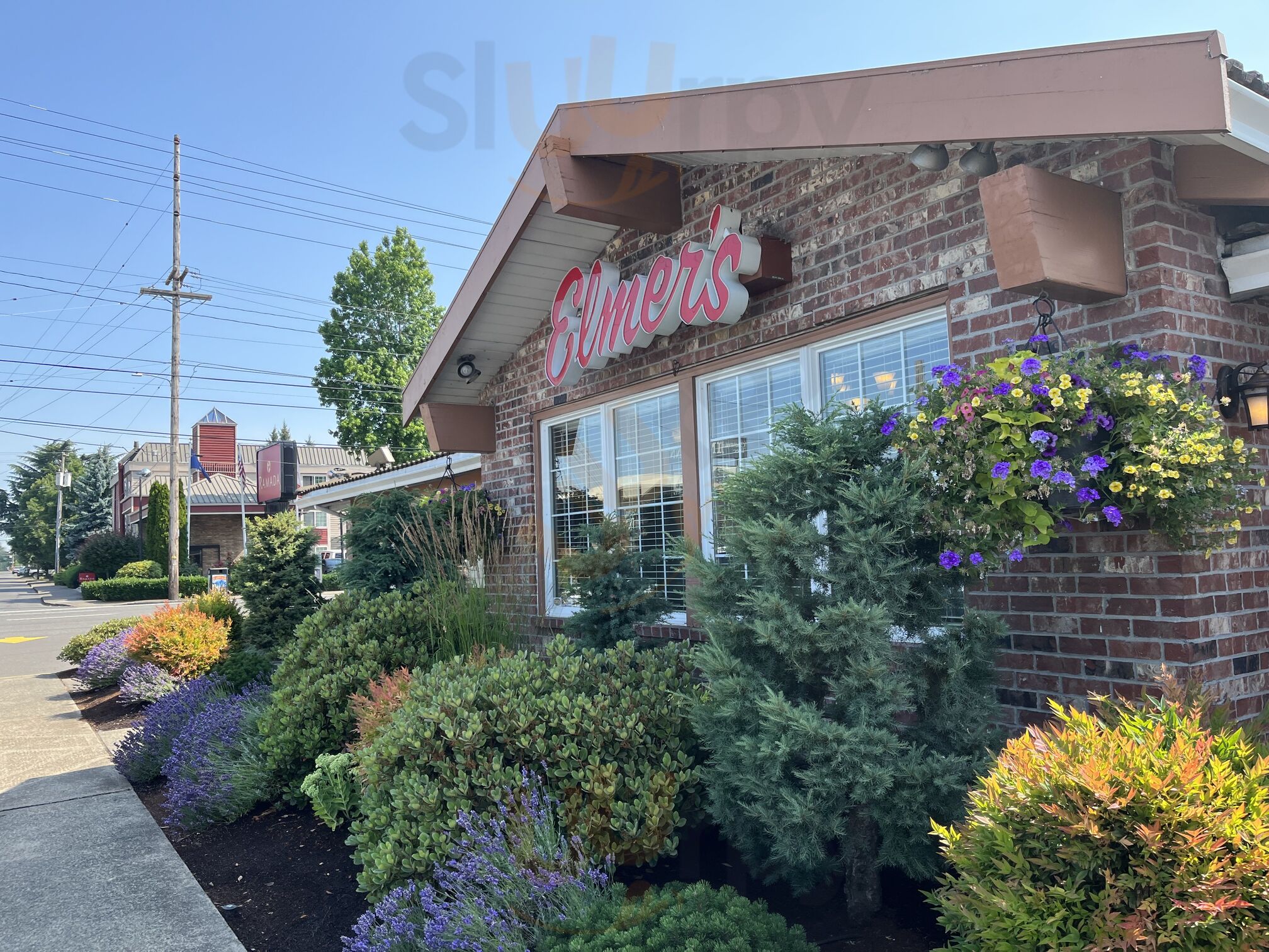 Danna Brothers'-elmers