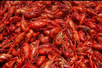 Cane River Meat Pies