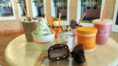 Orange Leaf Frozen Yogurt