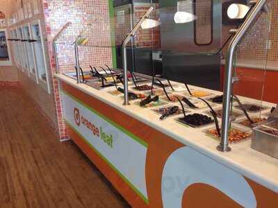 Orange Leaf Frozen Yogurt