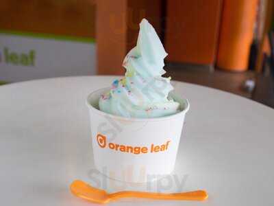 Orange Leaf Frozen Yogurt