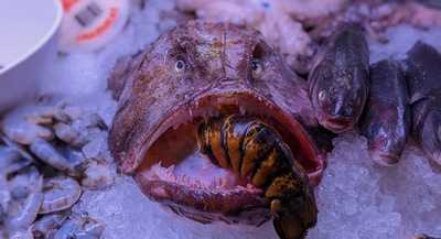 The District Fishwife