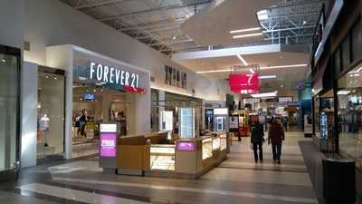 The Great Steak & Potato