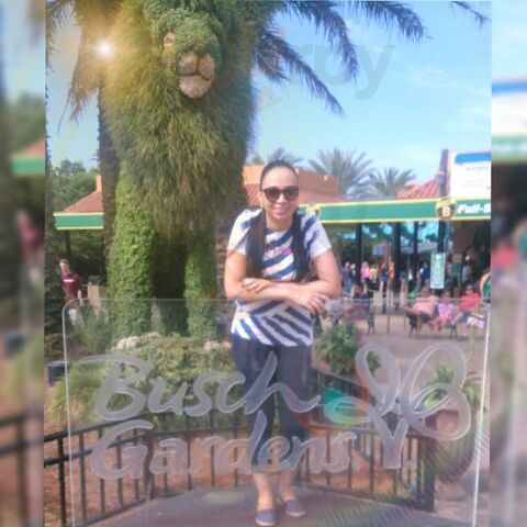 Bush Garden