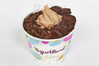 Yogurtland