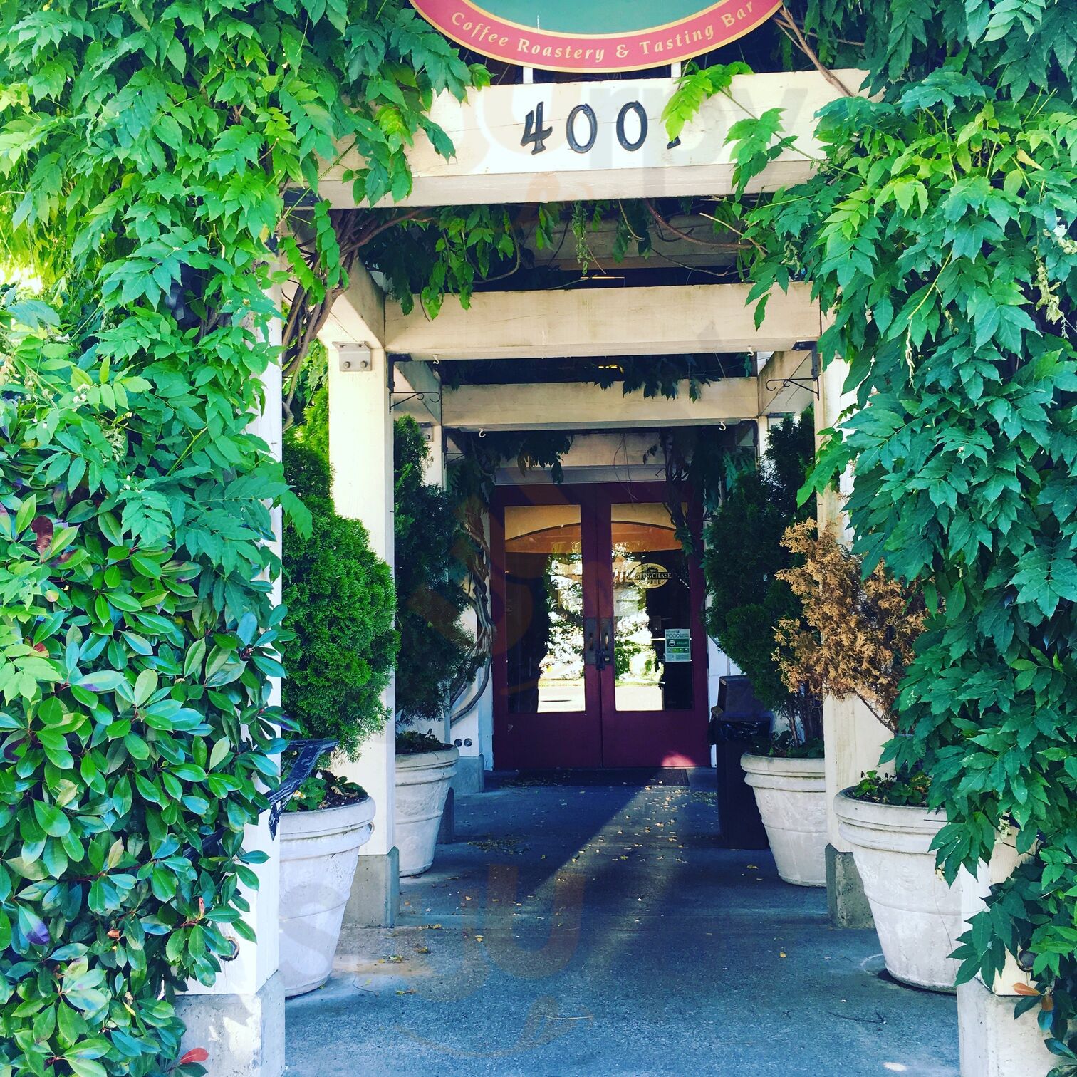 Caffe Appassionato Cafe