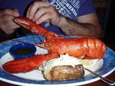 Red Lobster