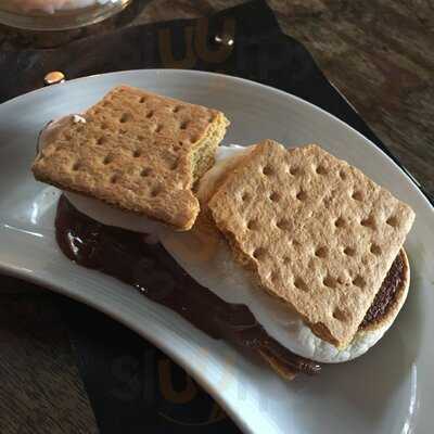 Melrose Umbrella Co.