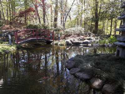 Golden Buddha Chinese Restaurant