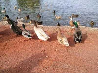 Restaurant At Los Prados