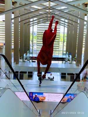 Sacramento Bee & Ecogrounds