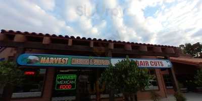 Harvest Taco Shop