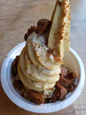 Eb & Bean Organic Frozen Yogurt