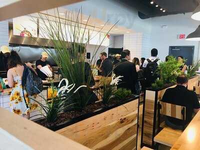 Verts Mediterranean Grill