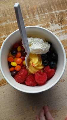 Nectar Frozen Yogurt Lounge