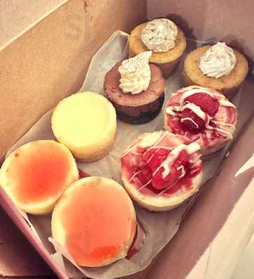 The Celia Jacobs Cheesecake Experience