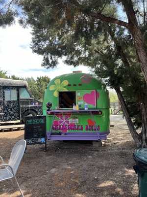 The Celia Jacobs Cheesecake Experience