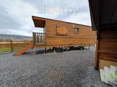 The Celia Jacobs Cheesecake Experience