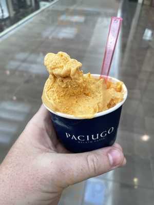 Paciugo Gelato