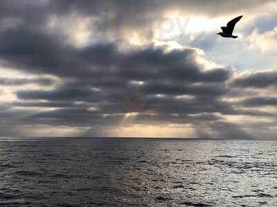 Galley H & M Landing