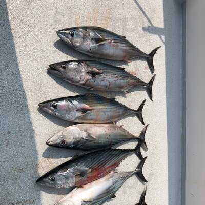 Galley H & M Landing