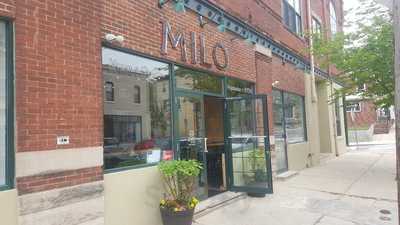 Milo / Vegan--vegetarian