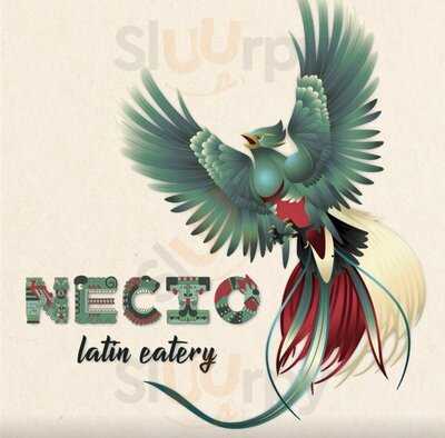 Necio Latin Eatery