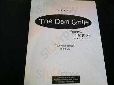 Dam Grille